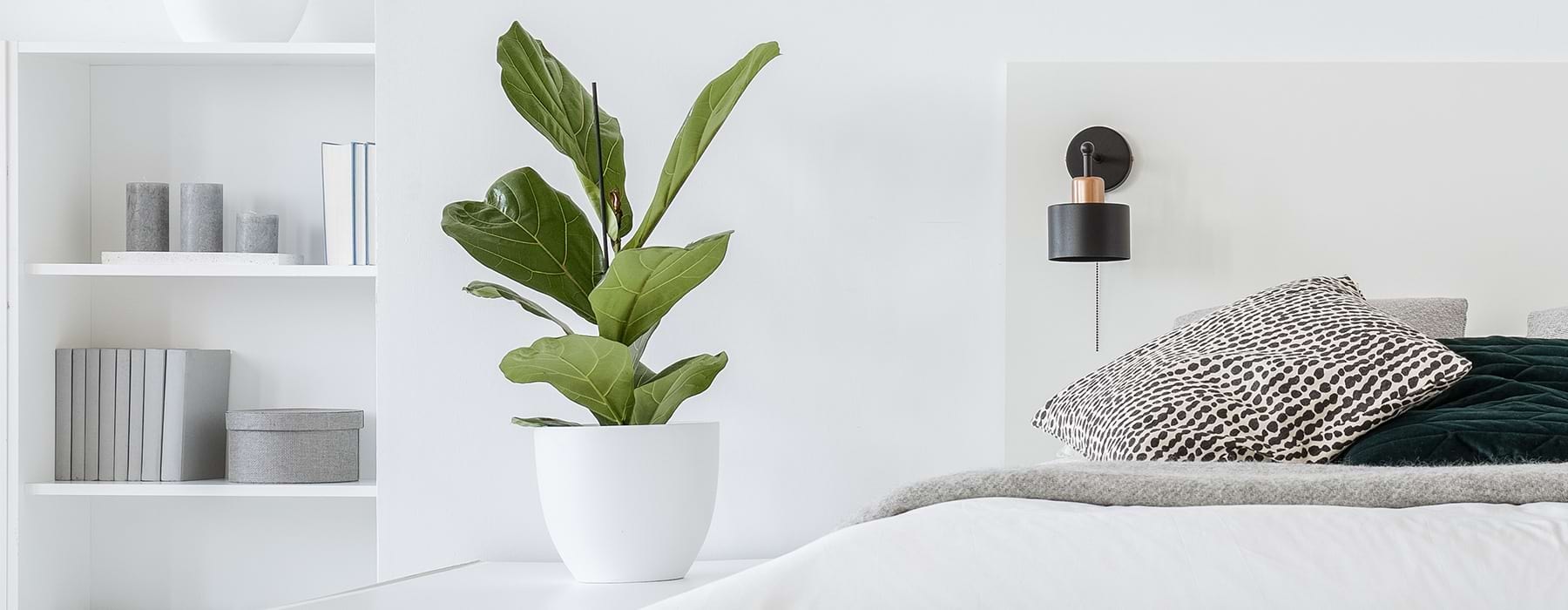 Privacy Policy bright modern decor in a bright room